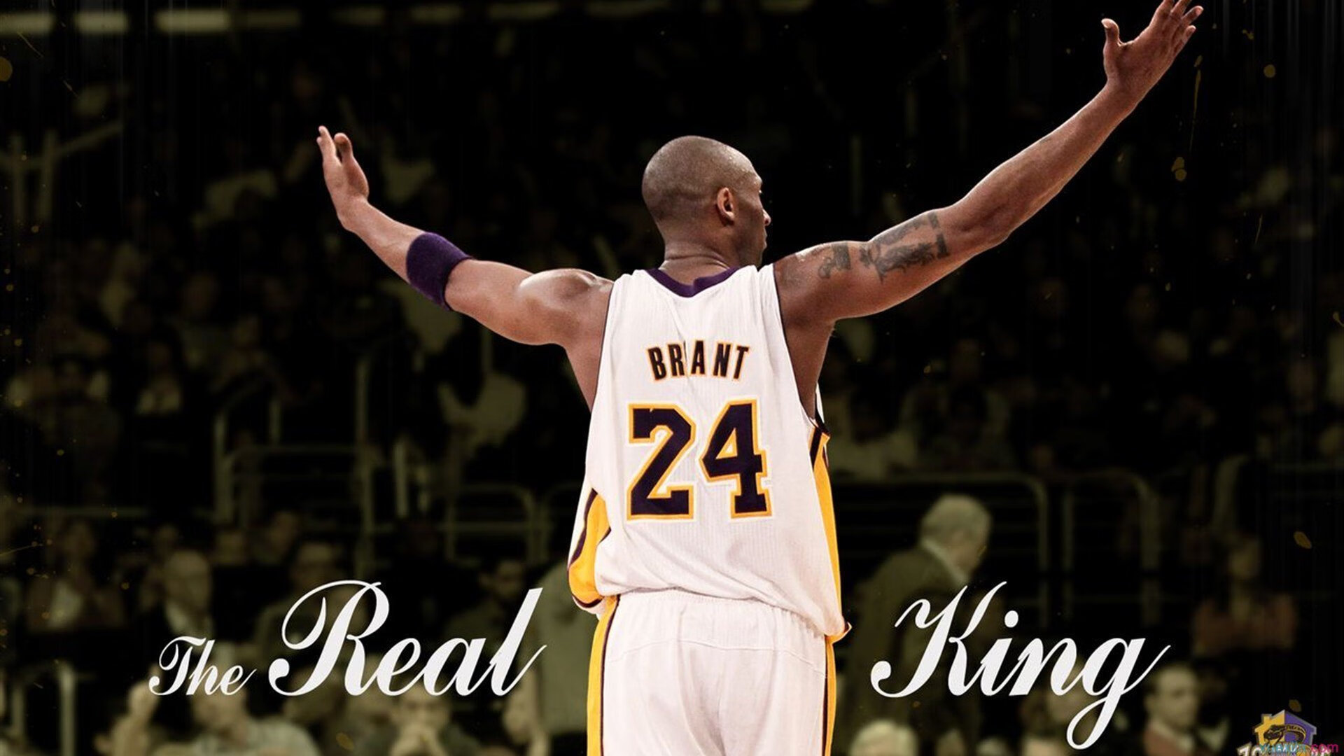 AYX GAMING-美洲杯明星纷纷亮相：激情、突破、精彩不断！，美洲杯人气